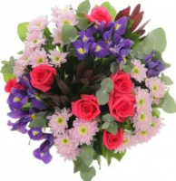 Дорогие, милые женщины! Дорогие, милые женщины!